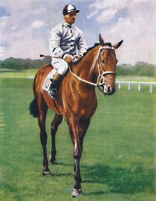 Foxglove II. Jockey: G. Richards 1939