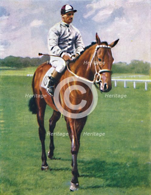Foxglove II. Jockey: G. Richards', 1939. Artist: Unknown.