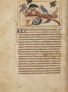 Foxes; Northumberland Bestiary, about 1250-1260. Creator: Unknown