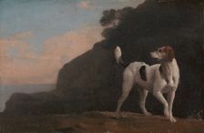 Foxhound;A Foxhound, ca. 1760. Creator: George Stubbs