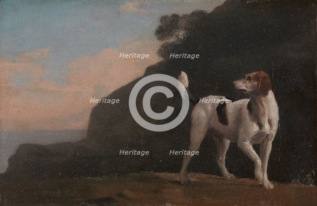 Foxhound;A Foxhound, ca. 1760. Creator: George Stubbs.