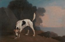 Foxhound;Foxhound on the Scent, ca. 1760. Creator: George Stubbs