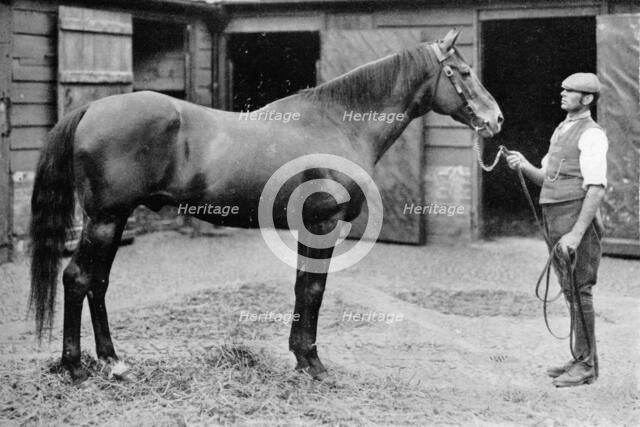 'Foxhall', 1880-1904, (1911). Artist: Unknown.