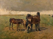 Foals in the Paddock, mid-late 19th century. Creator: Alfred Verwee