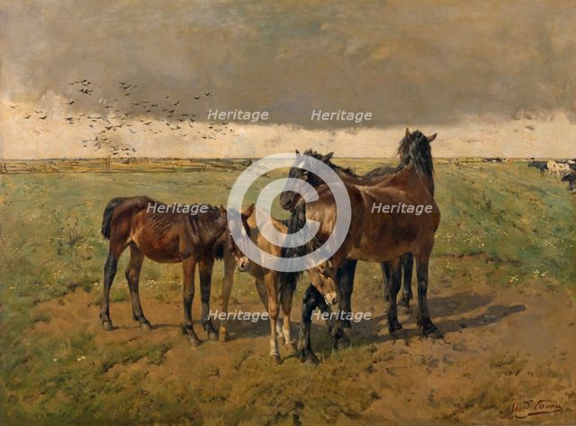 Foals in the Paddock, mid-late 19th century. Creator: Alfred Verwee.