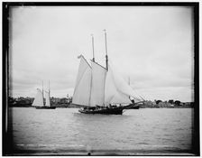 Foam, Marblehead harbor, 1888 June 28. Creator: Unknown