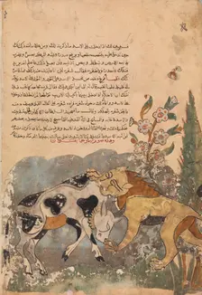 Folio from a Kalila wa Dimna, 18th century. Creator: Unknown
