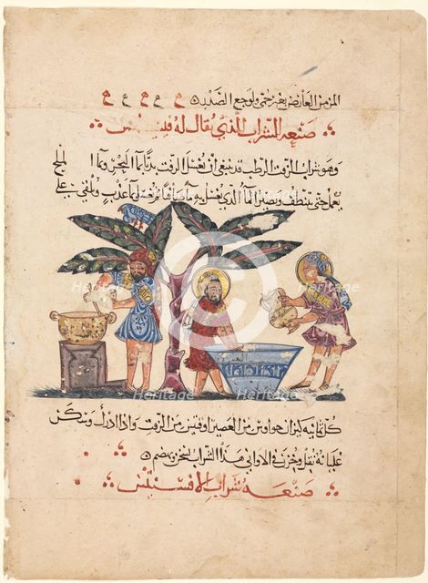 Folio from an Arabic translation of the Materia Medica of Dioscorides, 1224. Creator: Abdallah ibn al-Fadl (Iraq).