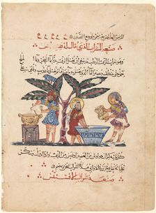 Folio from an Arabic translation of the Materia Medica of Dioscorides, 1224. Creator: Abdallah ibn al-Fadl (Iraq)
