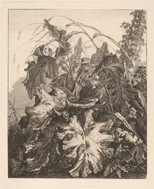 Foliage with Reeds, c.1810. Creator: Carl Wilhelm Kolbe the elder