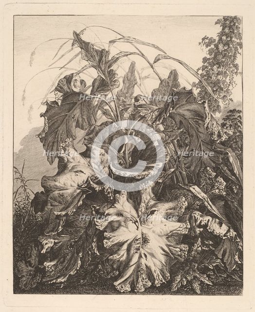 Foliage with Reeds, c.1810. Creator: Carl Wilhelm Kolbe the elder.