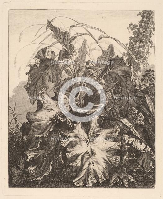 Foliage with Reeds, c.1810. Creator: Carl Wilhelm Kolbe the elder.