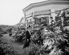 Foliage and east window of officers club, National Cash Register [Company], Dayton, Ohio, (1902?). Creator: William H. Jackson