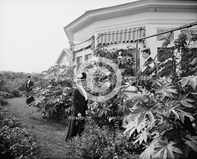 Foliage and east window of officers' club, National Cash Register [Company], Dayton, Ohio, (1902?). Creator: William H. Jackson.
