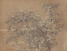 Foliage, late 19th century. Creator: William Trost Richards