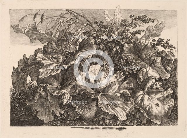 Foliage Study with Reed and Hops, 1826/1828. Creator: Carl Wilhelm Kolbe the elder.