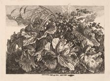 Foliage Study with Reed and Hops, 1826/1828. Creator: Carl Wilhelm Kolbe the elder