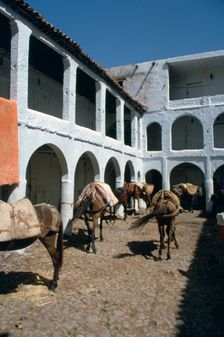 Fondouk, Chefchaouen, Morocco. Creator: Vivienne Sharp
