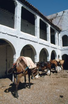 Fondouk, Chefchaouen, Morocco. Creator: Vivienne Sharp