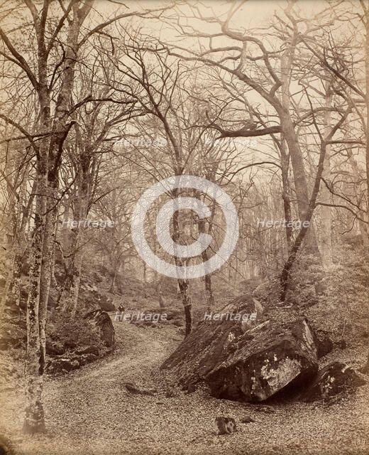 Fontainebleau, about 1870. Creator: Charles Victor Famin.