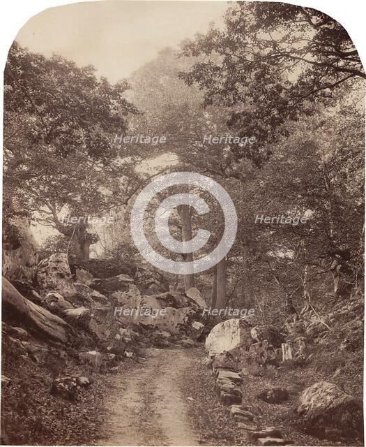 Fontainebleau, c. 1860s. Creator: Alphonse Jeanrenaud.