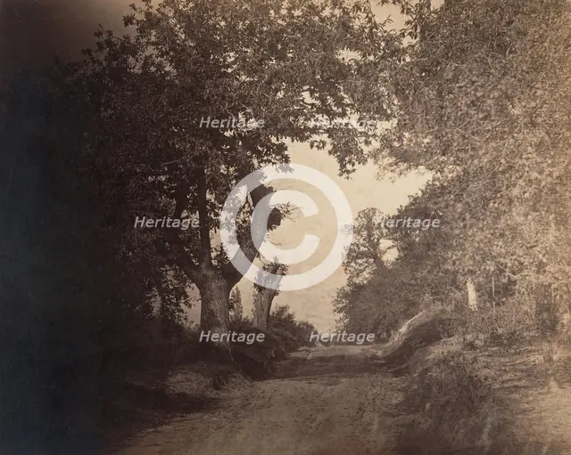 Fontainebleau, chemin sablonneux montant, ca. 1856. Creator: Gustave Le Gray.