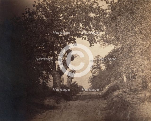 Fontainebleau, chemin sablonneux montant, ca. 1856. Creator: Gustave Le Gray.