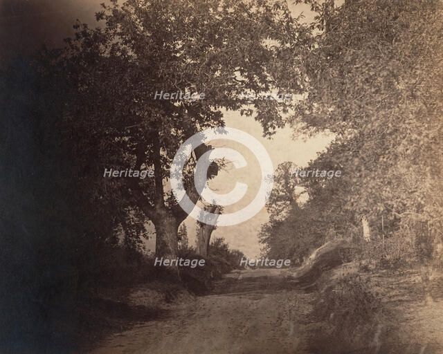 Fontainebleau, chemin sablonneux montant, ca. 1856. Creator: Gustave Le Gray.