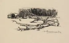 Fontainebleau Forest: Carrefour de lEpine (La Forêt de Fontainebleau: Carrefour de lEpine), 1890. Creator: Auguste Louis Lepère (French, 1849-1918); A. Desmoulins, Published in Revue Illustrée, 1887-90