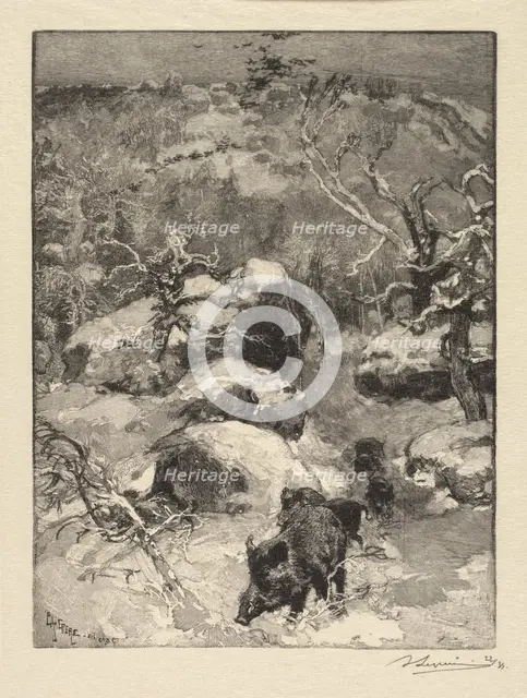 Fontainebleau Forest: Cuvier-Châtillon Cliff (La Forêt de Fontainebleau: Roche Cuvier-Châtillon), 18 Creator: Auguste Louis Lepère (French, 1849-1918); A. Desmoulins, Published in Revue Illustrée, 1887-90.