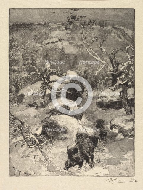 Fontainebleau Forest: Cuvier-Châtillon Cliff (La Forêt de Fontainebleau: Roche Cuvier-Châtillon), 18 Creator: Auguste Louis Lepère (French, 1849-1918); A. Desmoulins, Published in Revue Illustrée, 1887-90.