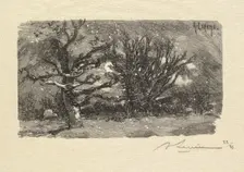 Fontainebleau Forest: Au dormoir de Lantara (La Forêt de Fontainebleau: Au dormoir de Lantara), 1890 Creator: Auguste Louis Lepère (French, 1849-1918); A. Desmoulins, Published in Revue Illustrée, 1887-90