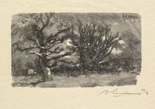 Fontainebleau Forest: Au dormoir de Lantara (La Forêt de Fontainebleau: Au dormoir de Lantara), 1890 Creator: Auguste Louis Lepère (French, 1849-1918); A. Desmoulins, Published in Revue Illustrée, 1887-90
