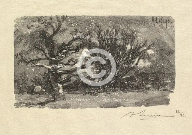 Fontainebleau Forest: Au dormoir de Lantara (La Forêt de Fontainebleau: Au dormoir de Lantara), 1890 Creator: Auguste Louis Lepère (French, 1849-1918); A. Desmoulins, Published in Revue Illustrée, 1887-90.