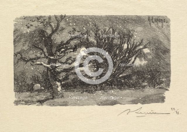 Fontainebleau Forest: Au dormoir de Lantara (La Forêt de Fontainebleau: Au dormoir de Lantara), 1890 Creator: Auguste Louis Lepère (French, 1849-1918); A. Desmoulins, Published in Revue Illustrée, 1887-90.