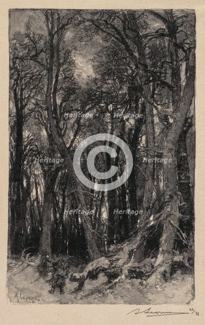 Fontainebleau Forest: Bas-Bréau (La Forêt de Fontainebleau: Le Bas-Bréau), 1890. Creator: Auguste Louis Lepère (French, 1849-1918); A. Desmoulins, Published in Revue Illustrée, 1887-90.