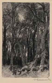 Fontainebleau Forest: Bas-Bréau (La Forêt de Fontainebleau: Le Bas-Bréau), 1890. Creator: Auguste Louis Lepère (French, 1849-1918); A. Desmoulins, Published in Revue Illustrée, 1887-90