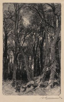 Fontainebleau Forest: Bas-Bréau (La Forêt de Fontainebleau: Le Bas-Bréau), 1890. Creator: Auguste Louis Lepère (French, 1849-1918); A. Desmoulins, Published in Revue Illustrée, 1887-90