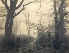 [Fontainebleau Forest], early 1860s. Creator: Eugène Cuvelier