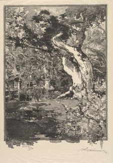 Fontainebleau Forest: Le Clovis, Plateau de Bellecroix (La Forêt de Fontainebleau...), 1890. Creator: Auguste Louis Lepère (French, 1849-1918); A. Desmoulins, Published in Revue Illustrée, 1887-90