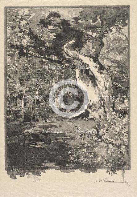 Fontainebleau Forest: Le Clovis, Plateau de Bellecroix (La Forêt de Fontainebleau...), 1890. Creator: Auguste Louis Lepère (French, 1849-1918); A. Desmoulins, Published in Revue Illustrée, 1887-90.