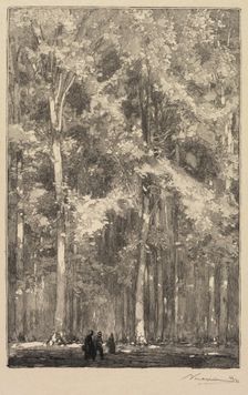 Fontainebleau Forest: Morning, Crossroads of the Route of the Forts de Marlotte..., 1890. Creator: Auguste Louis Lepère (French, 1849-1918); A. Desmoulins, Published in Revue Illustrée, 1887-90