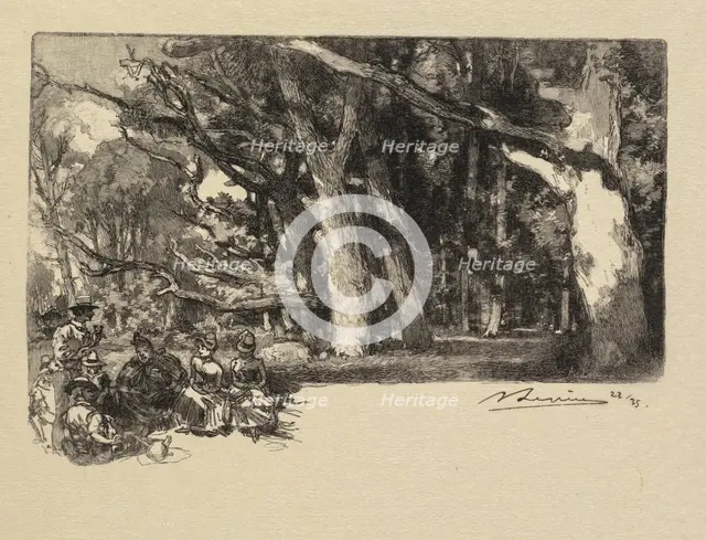 Fontainebleau Forest: Noon under the Trees (La Forêt de Fontainebleau: Midi sous bois), 1890. Creator: Auguste Louis Lepère (French, 1849-1918); A. Desmoulins, Published in Revue Illustrée, 1887-90.