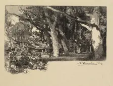Fontainebleau Forest: Noon under the Trees (La Forêt de Fontainebleau: Midi sous bois), 1890. Creator: Auguste Louis Lepère (French, 1849-1918); A. Desmoulins, Published in Revue Illustrée, 1887-90