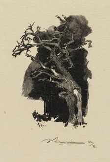 Fontainebleau Forest: The Raging One (La Forêt de Fontainebleau: Le rageur), 1890. Creator: Auguste Louis Lepère (French, 1849-1918); A. Desmoulins, Published in Revue Illustrée, 1887-90