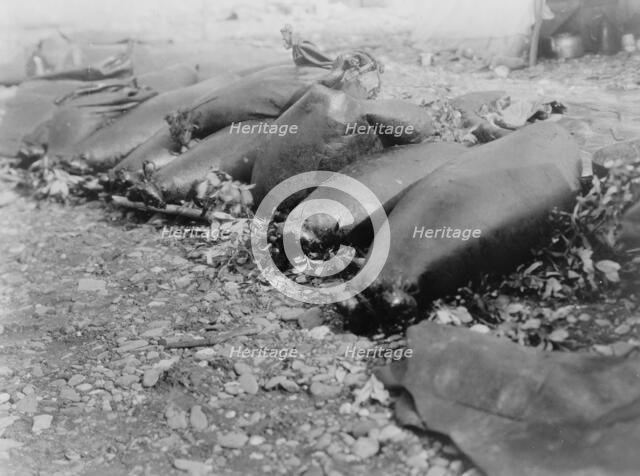 Food containers, Pokes-Kotzebue, c1929. Creator: Edward Sheriff Curtis.