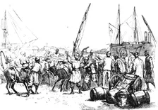 Food for the Troops: Landing Cattle at Port Said c1882