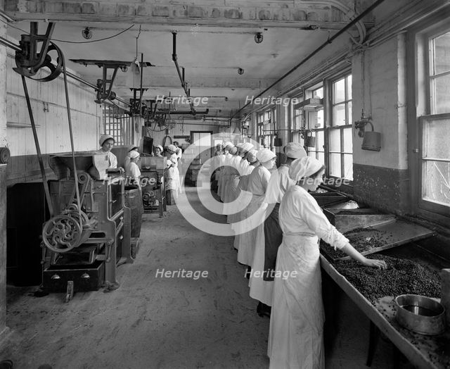 Food production, J Lyons & Co Ltd, Cadby Hall food factory, Hammersmith Road, London, October 1918. Artist: Adolph Augustus Boucher.