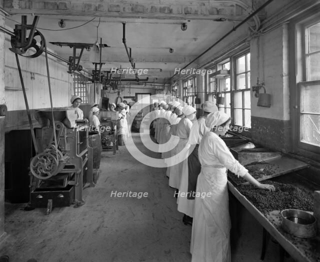 Food production, J Lyons & Co Ltd, Cadby Hall food factory, Hammersmith Road, London, October 1918. Artist: Adolph Augustus Boucher.
