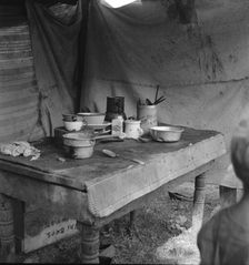 Food supply of migrant family, American River camp near Sacramento, California, 1936. Creator: Dorothea Lange